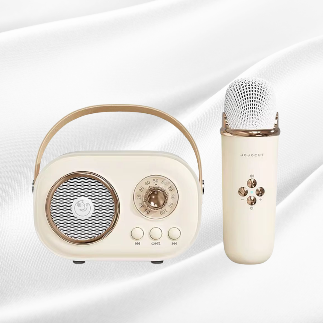 C20 PLUS Mini Karaoke